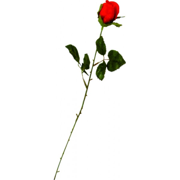 Une Rose Rouge - GA06003