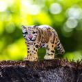 Miniature 4