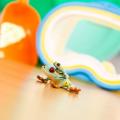 Miniature 5