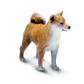 Miniature 3