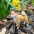 Miniature 5