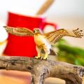 Miniature 7