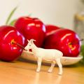 Miniature 5