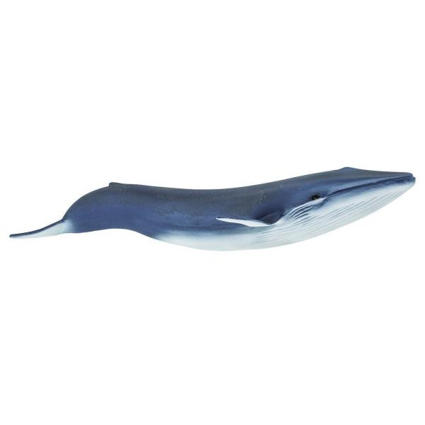 Blue Whale  Figure - Safari-S223229