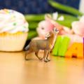 Miniature 6
