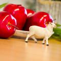 Miniature 5