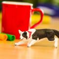 Miniature 5
