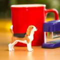 Miniature 5