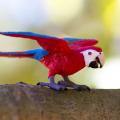 Miniature 5