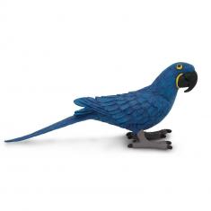 Guacamayo jacinto  Figuras