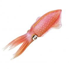 Reef Squid  Figure