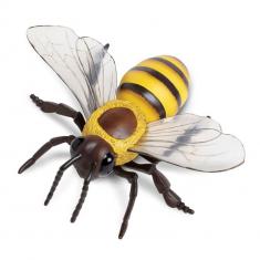 Honeybee  Figure