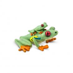 Red-Eyed Tree Frog  Figure