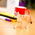 Miniature 6