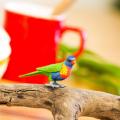 Miniature 5