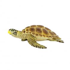 Loggerhead Turtle  Figure