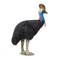 Cassowary  Figure