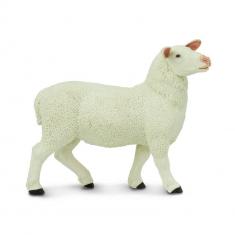 Ewe  Figure