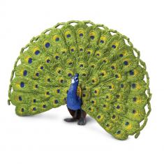 Peacock  Figure