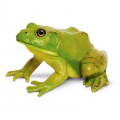 American Bullfrog  Figure