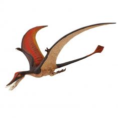 Ramphorhynchus Figure