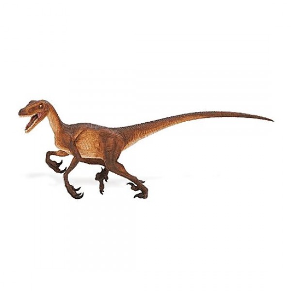 Figurine Dinosaure : Vélociraptor : Bébé - Safari-299929