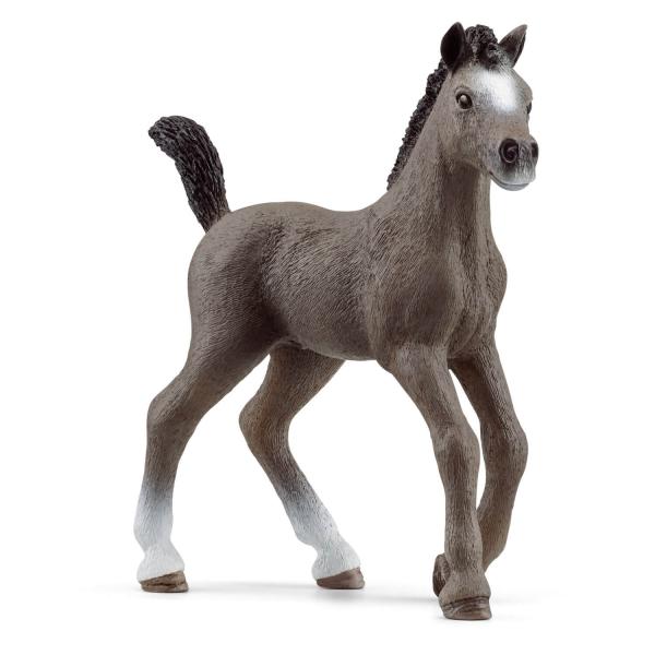 Horse Club Figur: Französisches Selle-Fohlen - Schleich-13957