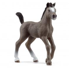 Horse Club Figurine: French Selle Foal