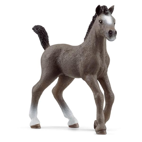 Horse Club Figurine: French Selle Foal - Schleich-13957