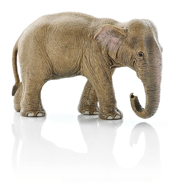 Figurine Eléphant de l'Inde : Femelle - Schleich-14654