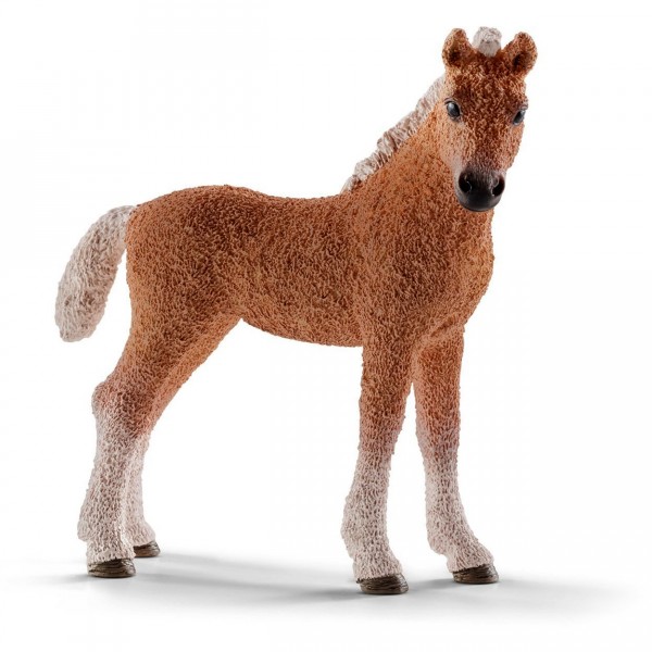 Figurine cheval : Poulain Bashkir Curly - Schleich-13781