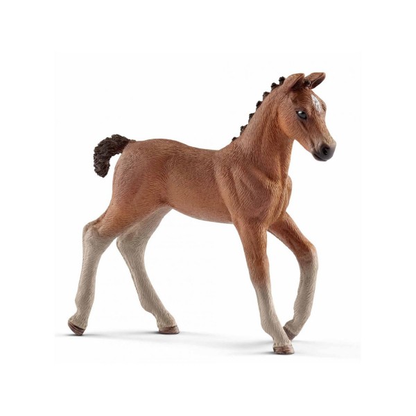 Figurine cheval : Poulain Hanovrien - Schleich-13818