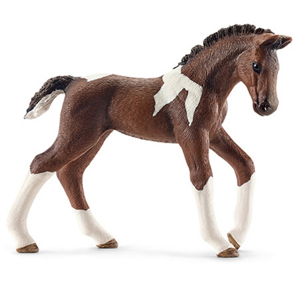 Figurine cheval : Poulain Trekehnen - Schleich-13758