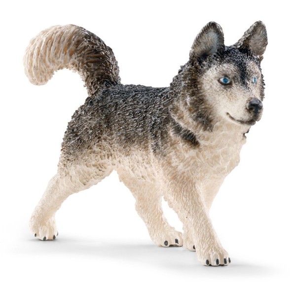 Figurine chien : Husky - Schleich-16835
