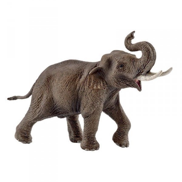 Figurine Eléphant d'Asie : Mâle - Schleich-14754