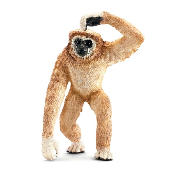 Figurine singe : Gibbon - Schleich-14717