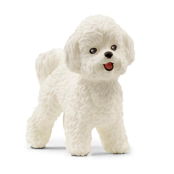 Farm World Figur: Bichon Frise - Schleich-13963