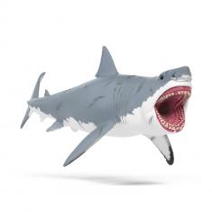 Megalodon