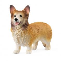 Chien Welsh Corgi