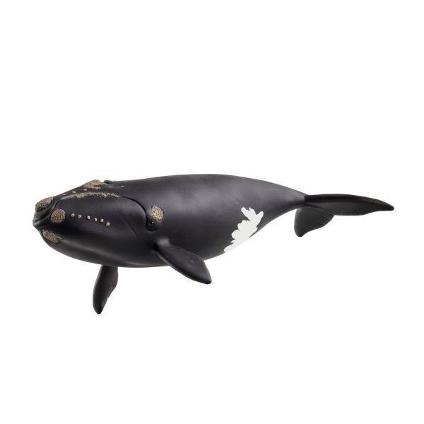 Baleine de l'Atlantique - Schleich-14878