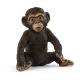 Miniature Jeune Chimpanzé