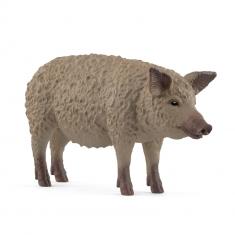 Mangalica-Schwein
