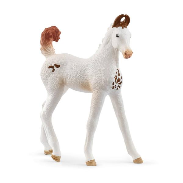 Marwari Foal - Schleich-14896