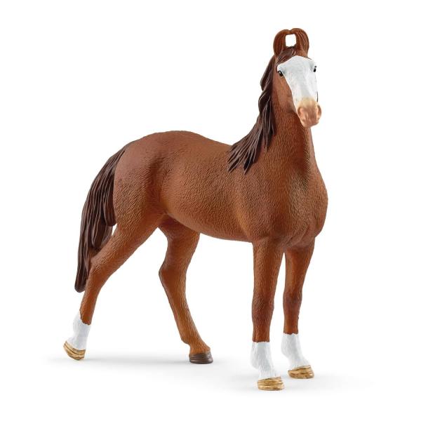 Jument Marwari - Schleich-14897