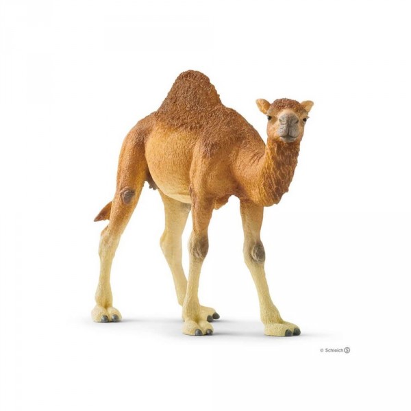 Figur: Dromedar - Schleich-14832