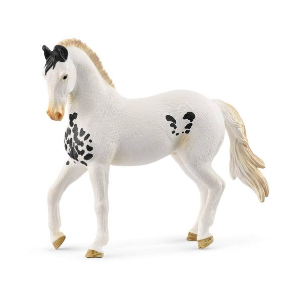 Hengst Marwari - Schleich-14898