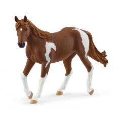Yegua de Paint Horse