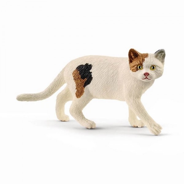 Figura: gato americano de pelo corto - Schleich-13894