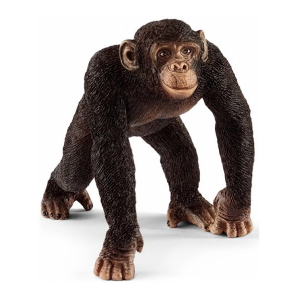 Figurine chimpanzé mâle - Schleich-14817