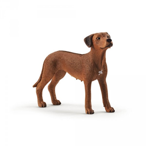 Figurine: Rhodesian Crested Dog - Schleich-13895
